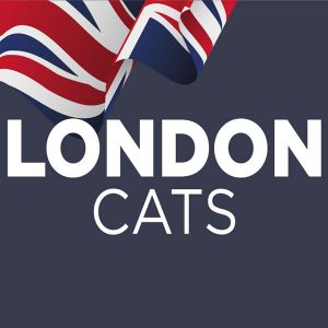 London Cats
